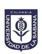 sabana colombia sabana colombia